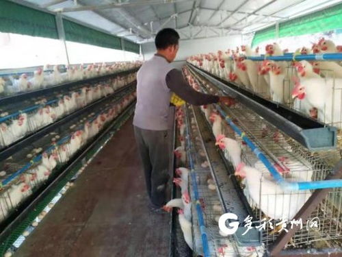 多彩貴州網(wǎng) 經(jīng)濟頻道