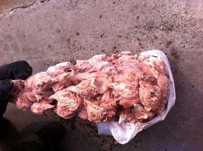 供應(yīng)冷凍分割雞副產(chǎn)品貂食雞頭_靈昆雞_雞_畜牧家禽養(yǎng)殖_養(yǎng)殖供應(yīng)_中國(guó)養(yǎng)殖致富網(wǎng)