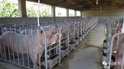 砥礪奮進(jìn)的五年 |【臨滄生態(tài)建設(shè)篇】綠色產(chǎn)業(yè):臨滄崛起“綠色發(fā)力”