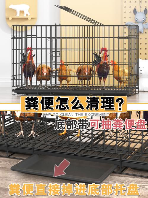 雞籠室外大型雞舍蛋雞雞龍家庭籠子家禽養殖籠子