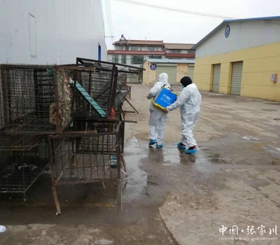 【疫情防控進(jìn)行時(shí)】張家川縣畜牧獸醫(yī)事務(wù)服務(wù)中心全力做好新型冠狀病毒感染的肺炎疫情防控工作