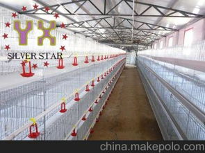 全自動育雛籠設(shè)備 銀星 獨立自營進出口權(quán)產(chǎn)品出口31個國家