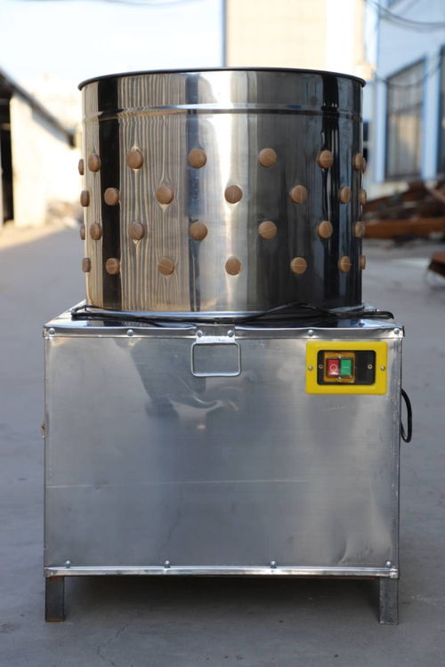 清原縣脫毛機家禽脫毛機方便等許多優(yōu)點只需要將屠宰好的家禽丟入