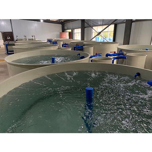 循環水水產養殖廠家報價提高了水質可以實現高密度養殖