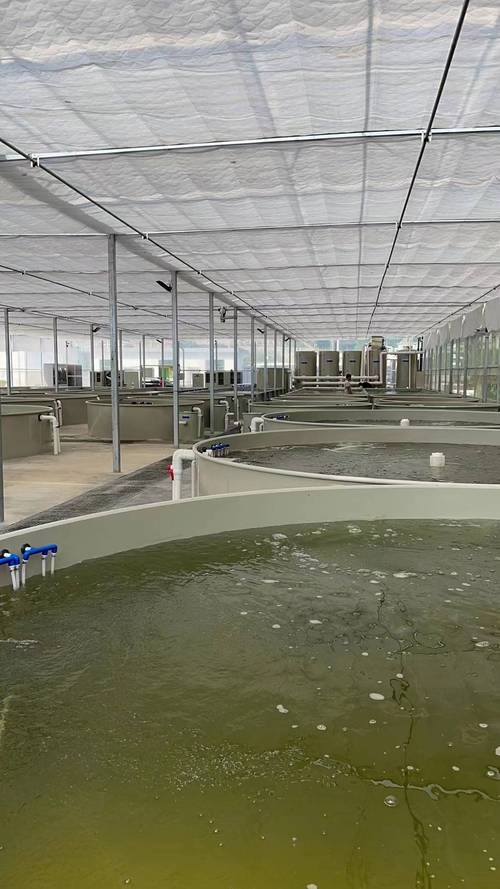 世界發達國家水產養殖大國發展歷程的研究發現(圖)_包裝知識_包裝新聞