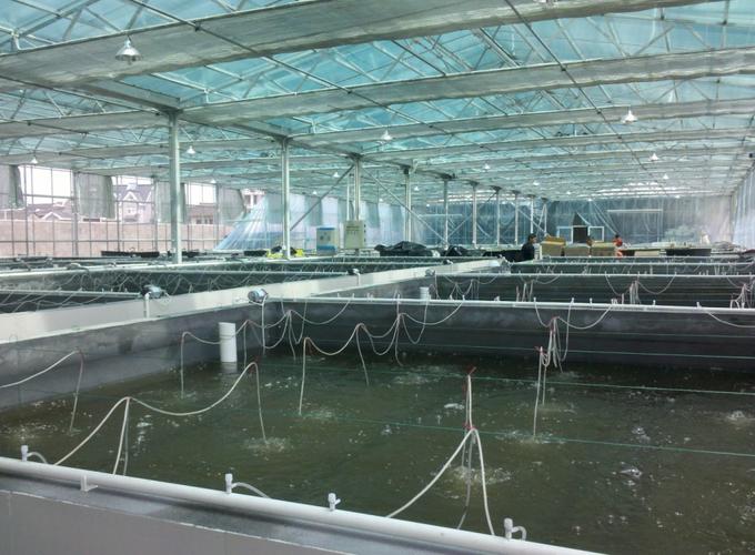 上海奉賢水產養殖gprs監控系統