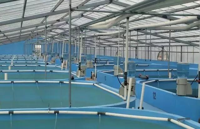 創粵8l工業制氧機 水產養殖增氧設備