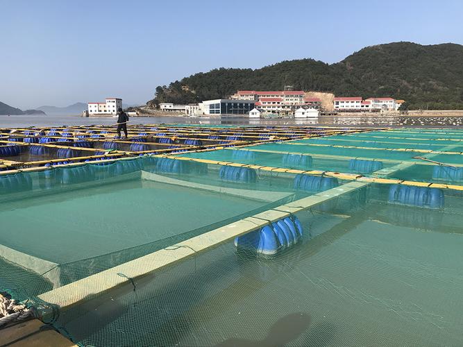 水產養殖如何防寒潮?象山農技專家來支招