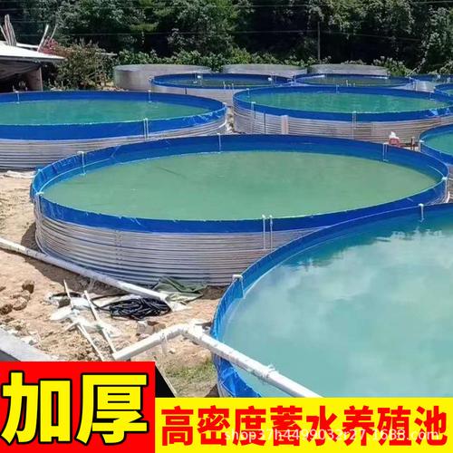 支架水池 戶外可移動水池水產養殖池可折疊pvc魚箱支架養魚池