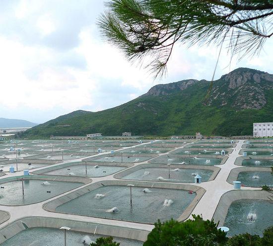 水產養殖管理系統|智能水產養殖監控系統