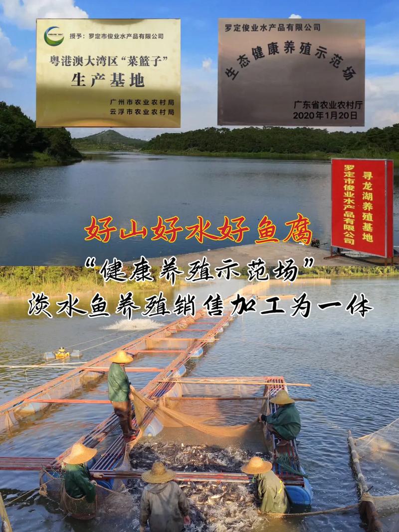 本公司集水產養殖銷售加工為一體,用 - 抖音