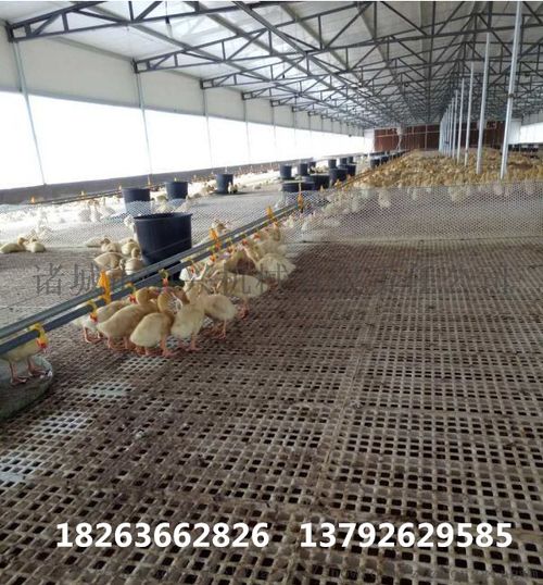 肉雞塑料漏糞板 家禽漏糞板 養雞塑料漏糞板