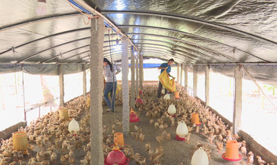 決戰決勝脫貧攻堅丨劉慶柏:拒絕等靠要 雙手創造美好新生活