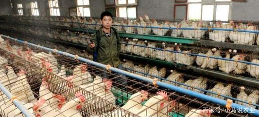 養殖難度大,生病傳染損失慘重,那是沒有嚴格規范的管理