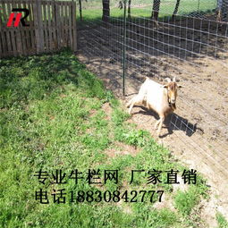 批發零售1.4米鍍鋅鐵絲網 牛欄網 散養家禽牲畜 廠家直銷