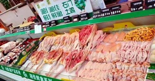 呼吁開放活禽市場,減少冷鏈食品銷售,把風險降到最低