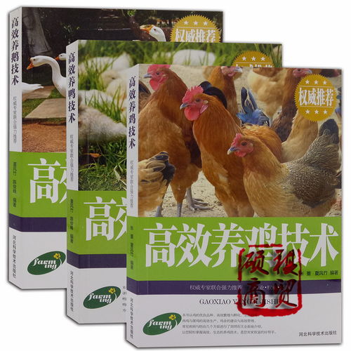 高效養(yǎng)雞技術高效養(yǎng)鴨技術高效養(yǎng)鵝技術科學養(yǎng)殖生態(tài)飼養(yǎng)家禽書籍