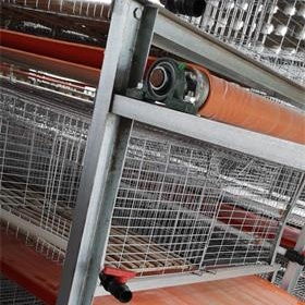 辛集家禽養(yǎng)鴿子籠生產(chǎn)基地,雞籠加工