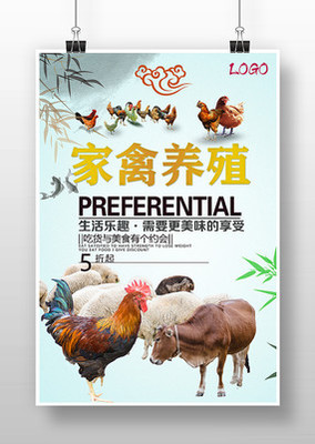 家禽養(yǎng)殖海報