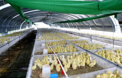 哈鐵:“扶貧列車”助力小康