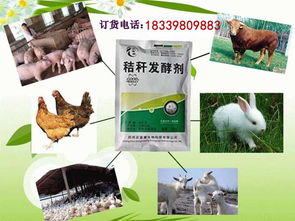 其他飼料添加劑價格 如何發酵玉米秸稈做牛飼料喂牛 花費的成本高嗎批發價格 鄭州市