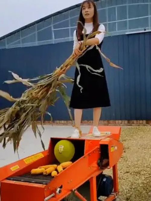 養殖小妙招 水產養殖 家禽養殖 畜牧業 科學喂養