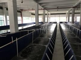廣州工廠化水產養殖價格 批發 供應 谷瀑環保