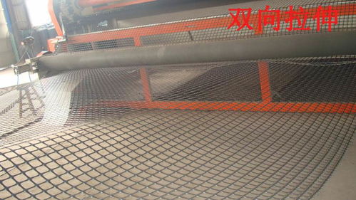 2021歡迎邢臺家禽養殖雙向塑料網性價比高廠家供應