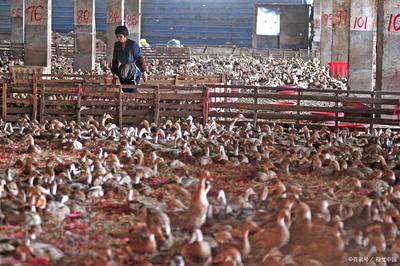 疫情影響了哪些行業,什么職業又會興起?