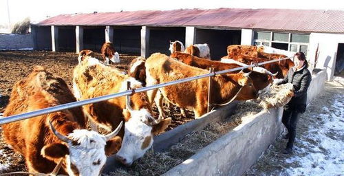 老百姓的 好日子 就要來了, 農村5項禁令解除, 對此你是否了解