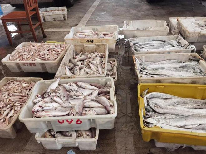 “雙節”海鮮銷售情況如何?記者實探:部分海魚價格較往年下降,淡水類養殖水產品受歡迎,海鮮酒店包房預定火爆