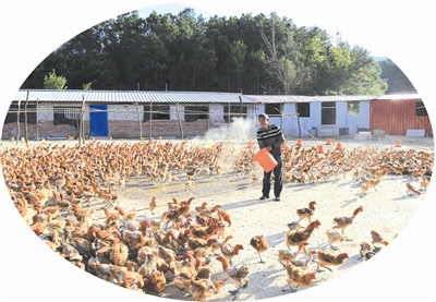 信陽市商城縣統(tǒng)籌推進(jìn)脫貧攻堅工作(圖)