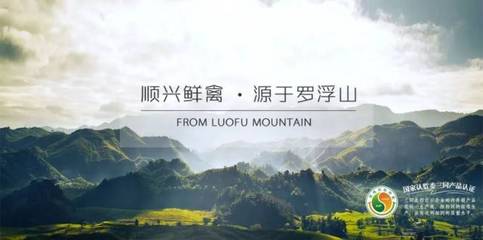 唐順興:一只“供港雞”的國際化之旅|廣東農產品出口典型案例