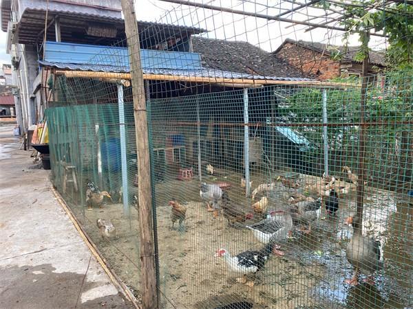 龍潭鎮:探索獎勵機制 賦能“四類鄉村”建設