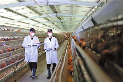 粵港澳大灣區(qū)發(fā)展規(guī)劃綱要 專欄