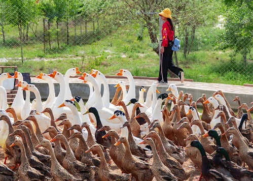 百張美圖告訴你,蘭州新區(qū)的未來更美好