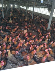 哪里有資訊 八方資源網行業資訊