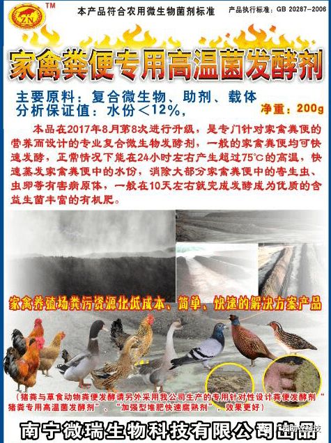 這個鴨場采用益生菌養殖青頭鴨 專業菌種發酵鴨糞制作有機肥形成生態養殖效益高