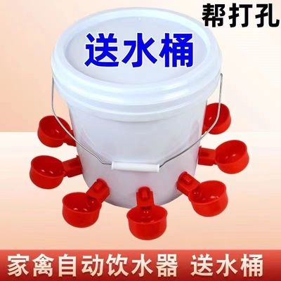 雞鴨鵝家禽自動喂水器,智能養殖新選擇?揭秘實用功能與使用體驗!