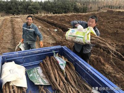 農村大叔的致富之路