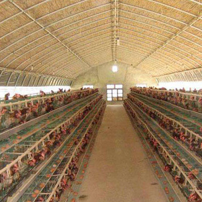 養殖大棚制造廠家 商丘養殖大棚 聚豐溫室大棚廠家