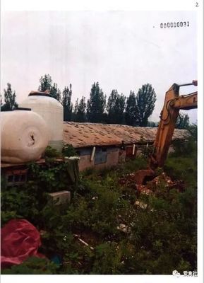 案例分析:噪聲污染能導致家禽死亡,獲得賠償