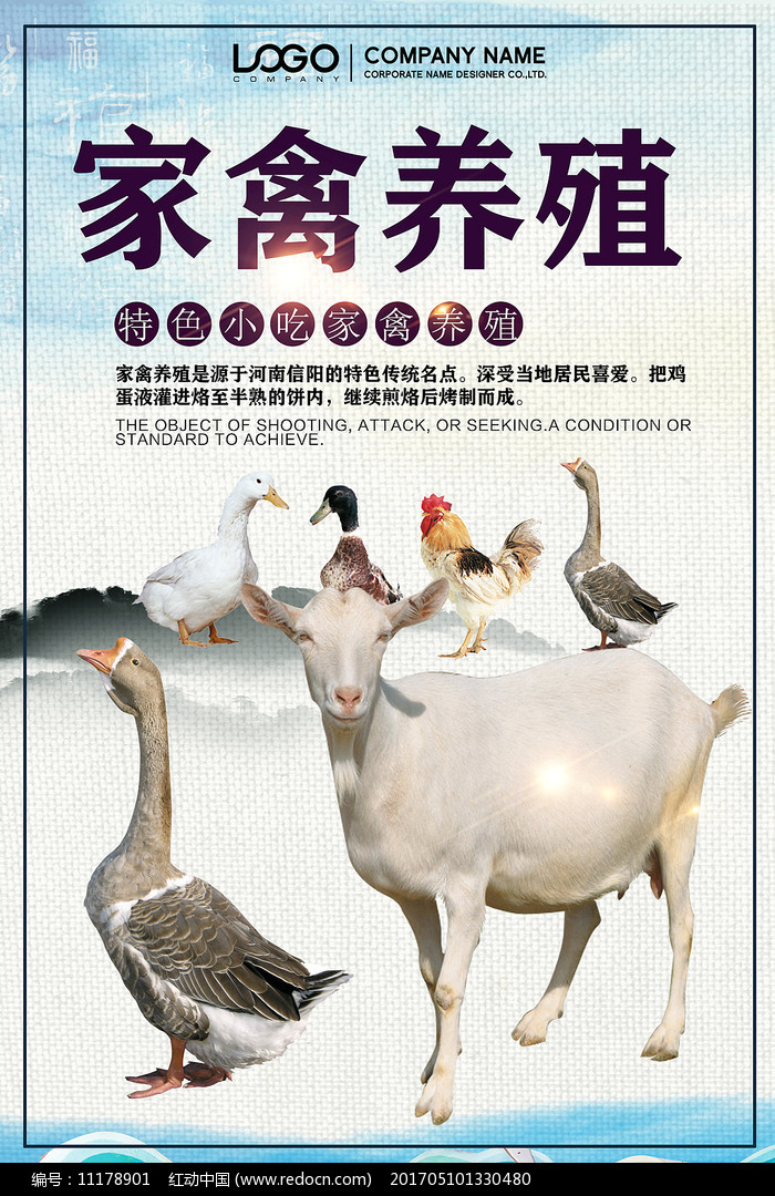 家禽生態養殖海報
