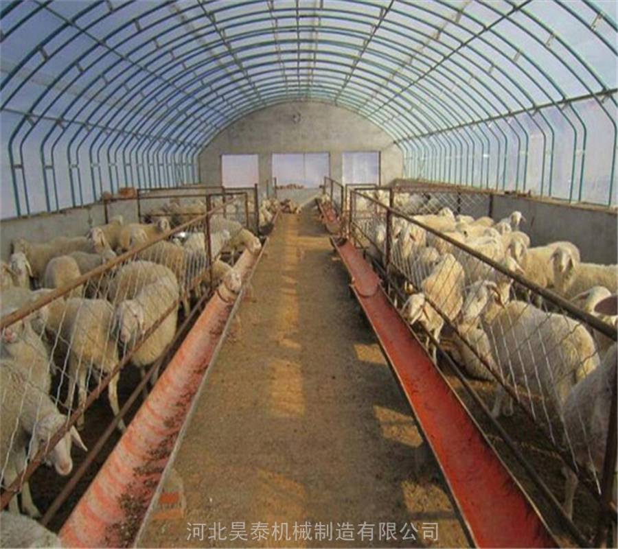搭建家禽養殖大棚 薄膜溫室養豬大棚 保溫大棚