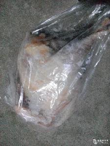 山東 雞. 雞.價格 報價 雞.品牌廠家