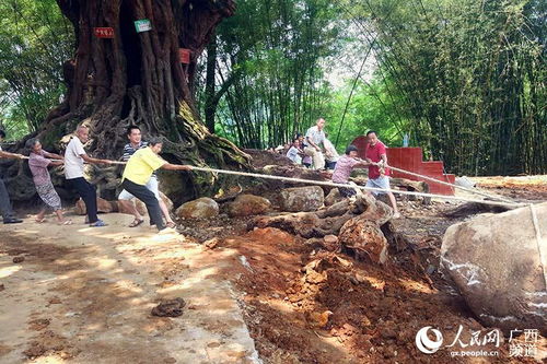 長洲區(qū)脫貧攻堅 鄉(xiāng)村振興 工作隊(duì)工作綜述