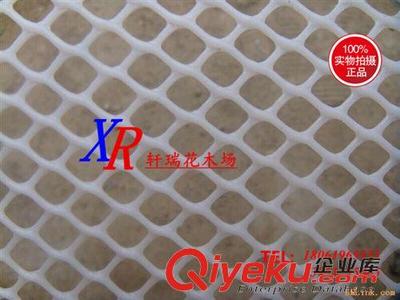 塑料網(wǎng) 批發(fā)家禽網(wǎng) 養(yǎng)殖網(wǎng) 養(yǎng)雞網(wǎng) 攔雞網(wǎng) 尼龍網(wǎng) 塑料網(wǎng) 防鳥網(wǎng)漁網(wǎng)圍網(wǎng)-沭陽縣新河鎮(zhèn)軒瑞花木場提供塑料網(wǎng) 批發(fā)家禽網(wǎng) 養(yǎng)殖網(wǎng) 養(yǎng)雞網(wǎng) 攔雞網(wǎng) 尼龍網(wǎng) 塑料網(wǎng) 防鳥網(wǎng)漁網(wǎng)圍網(wǎng)的相關(guān)介紹、產(chǎn)品、服務(wù)、圖片、價格沭陽縣新河鎮(zhèn)軒瑞花木場、綠化苗;果樹苗;種子;盆栽;園藝用品;花盆;水生植物;牧草種子