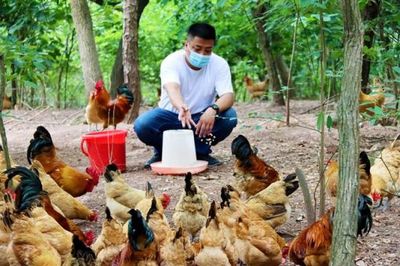 安徽肥西:科技助力特色農業發展