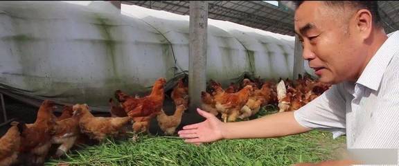 泰州:打造“不走的扶貧工作隊”激活脫貧攻堅的“一池春水”