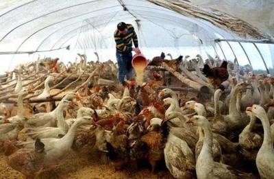 漲價潮即將到來!尤其這3類可能要大漲,事關我們的生活,早準備